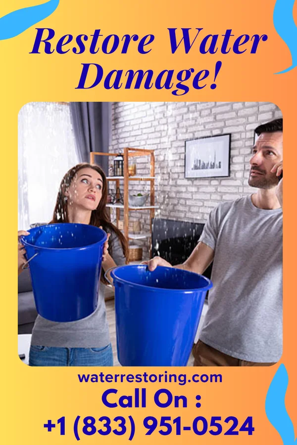 water restoration Trusted Recovery Specialists Norbourne Estates
