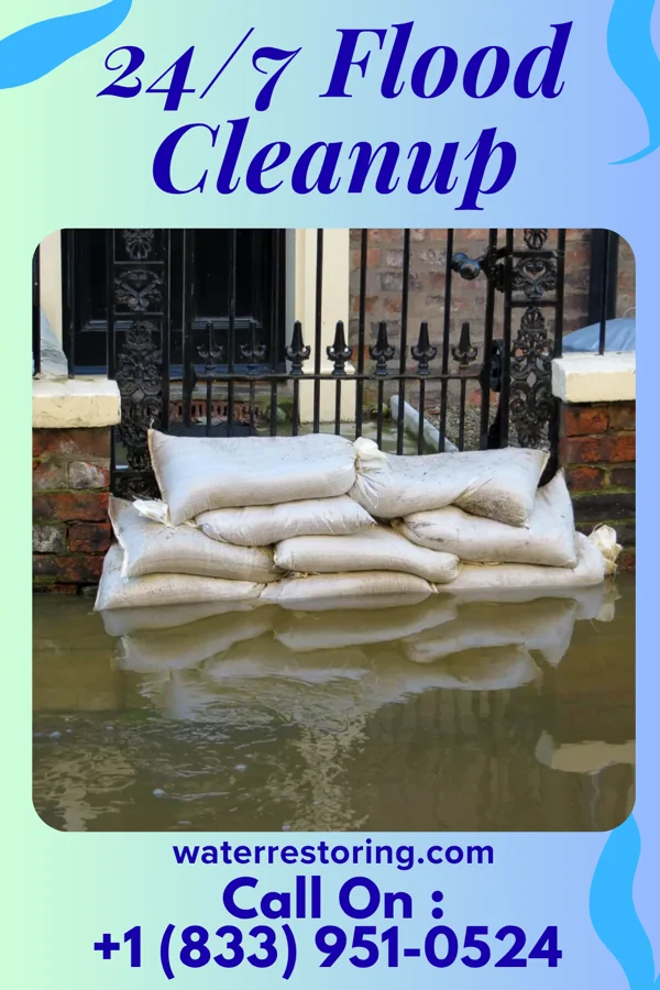 24/7 Flood Cleanup in Norbourne Estates, KY
