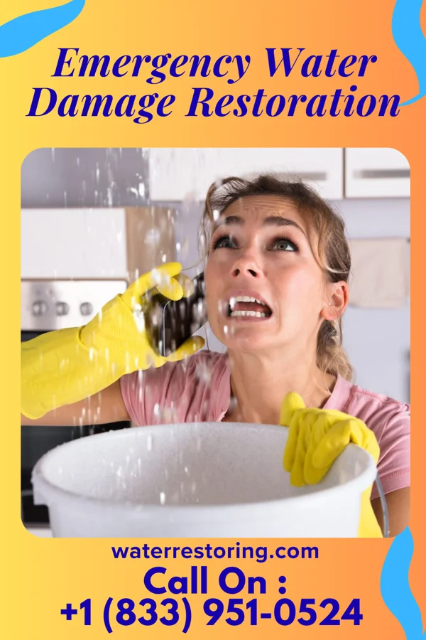 Emergency Water Damage Restoration in Norbourne Estates, KY