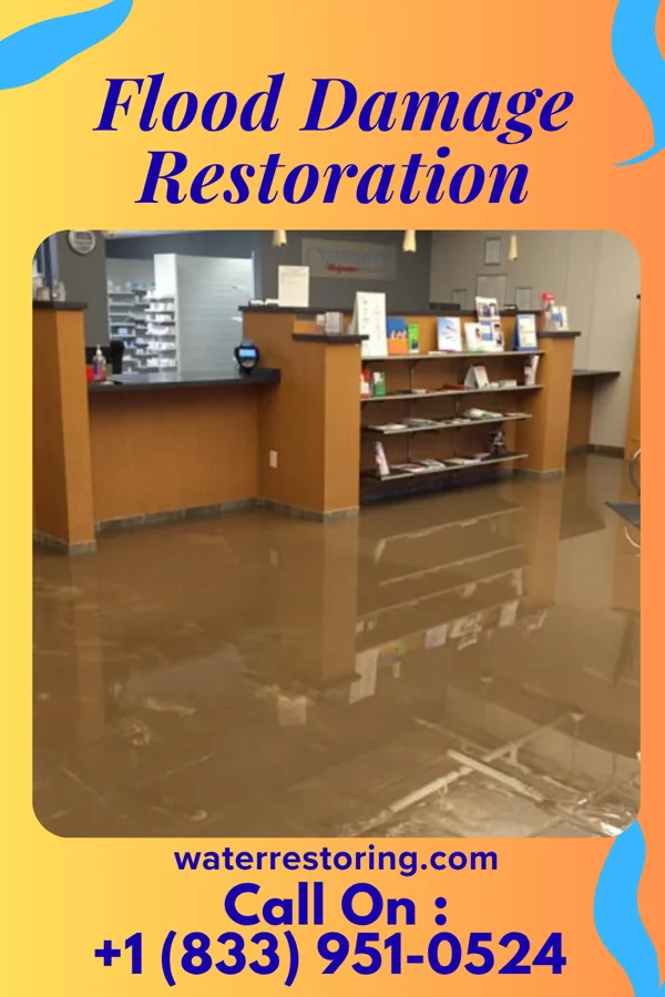 Flood Damage Restoration in Norbourne Estates, KY