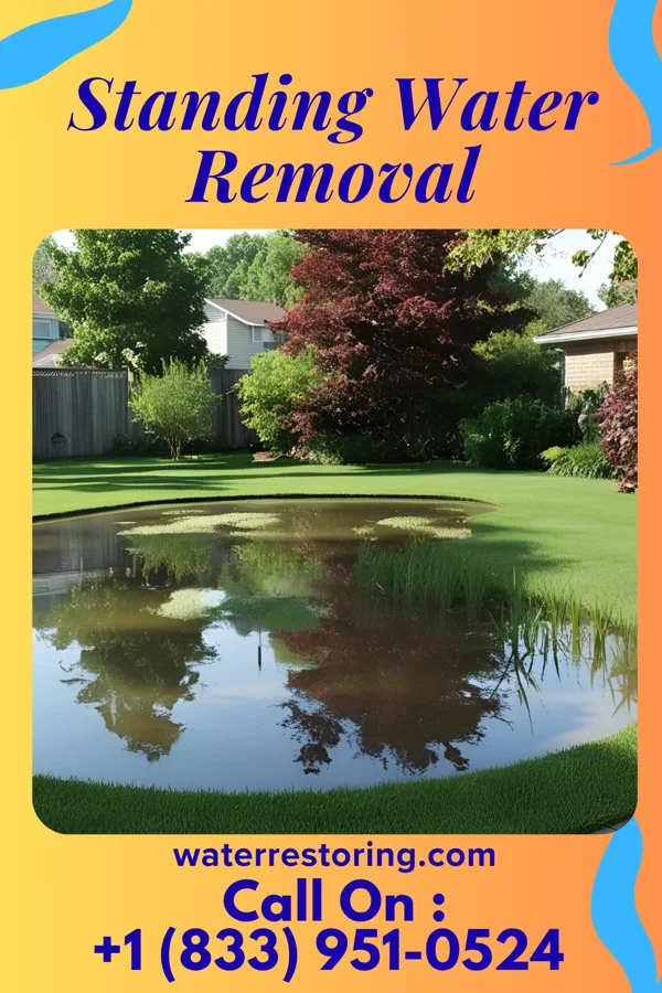 Standing Water Removal in Norbourne Estates, KY